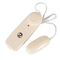Secret Service Bullet Vibrator