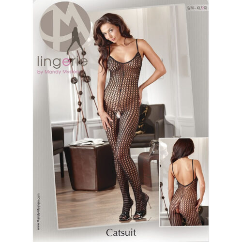 Sheer Black Fence Net Catsuit
